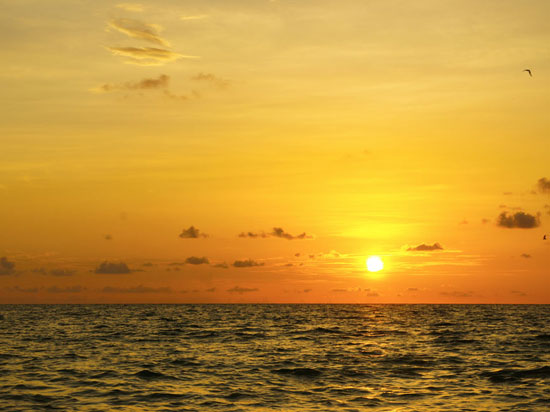 Sunset Paddle Experience